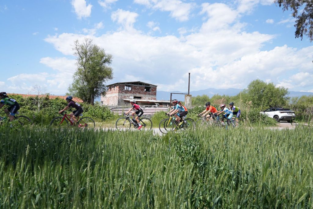 A line of cyclists racing along a rural road past green fields under a blue sky.