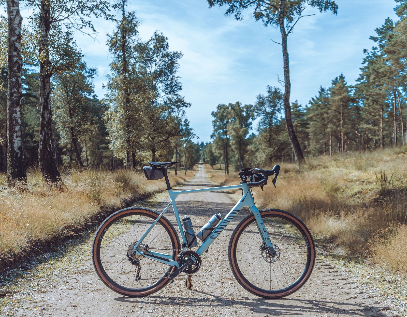 Light blue gravel bike with wide tires standing on a sandy dirt path between pine trees.